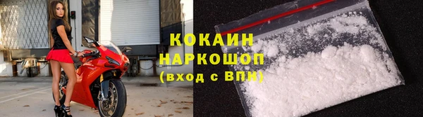хмурый Алексин