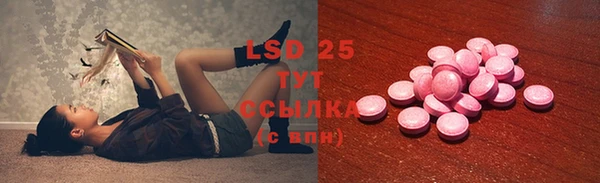 хмурый Алексин