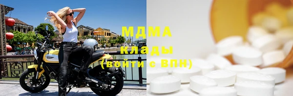 хмурый Алексин