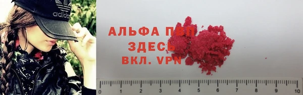 хмурый Алзамай