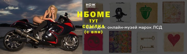 хмурый Алексин