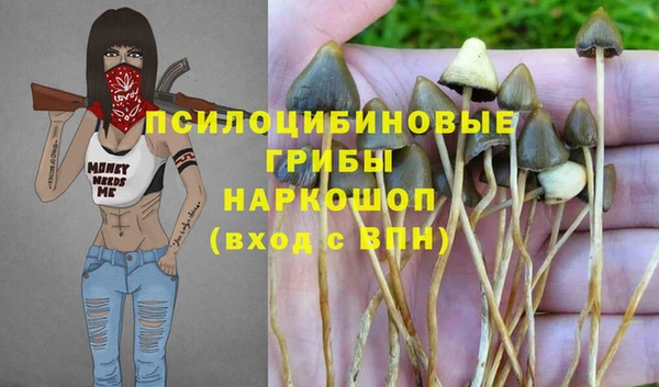spice Алексеевка