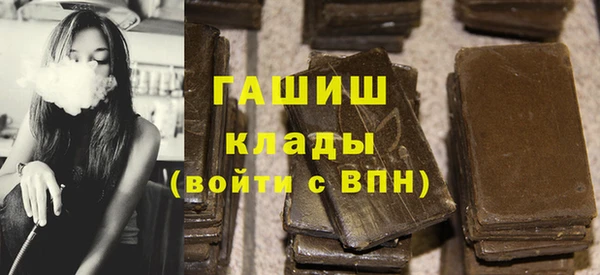хмурый Алексин