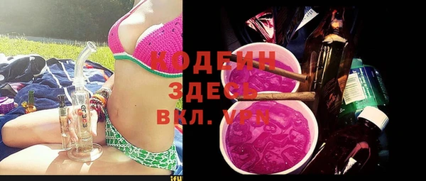 хмурый Алексин