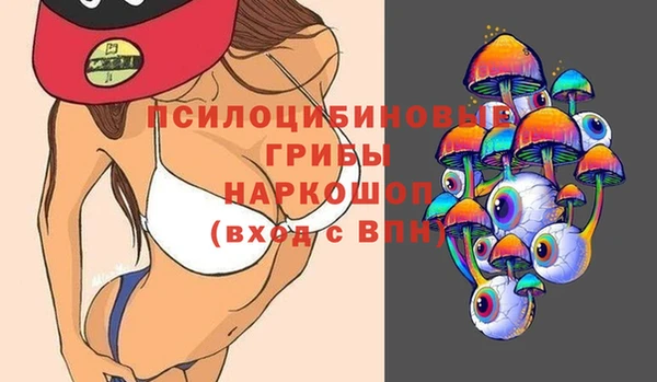 хмурый Алексин