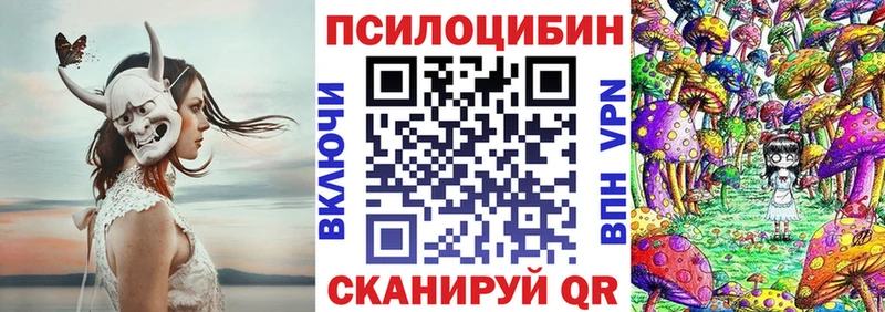 где купить наркотик  kraken как зайти  Галлюциногенные грибы Psilocybe  Лермонтов 
